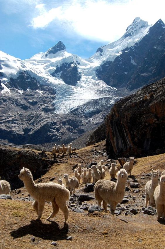 Радужные горы в Перу, куда поехать на выходные, гора Виникунка, Анды в Перу
