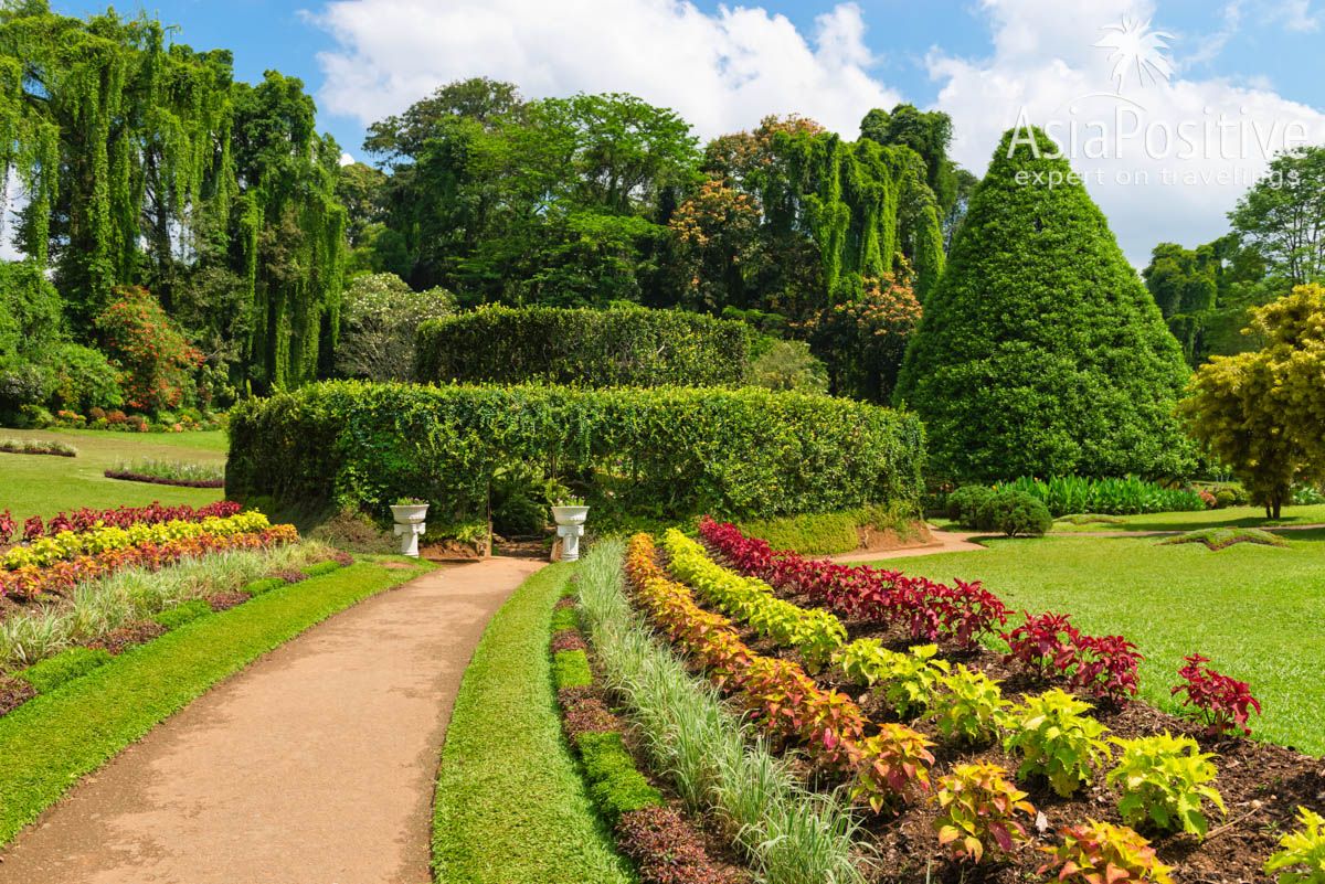 Королевский ботанический сад возле Канди 