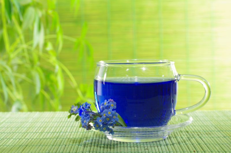 Синий чай из Таиланда – полезные свойства