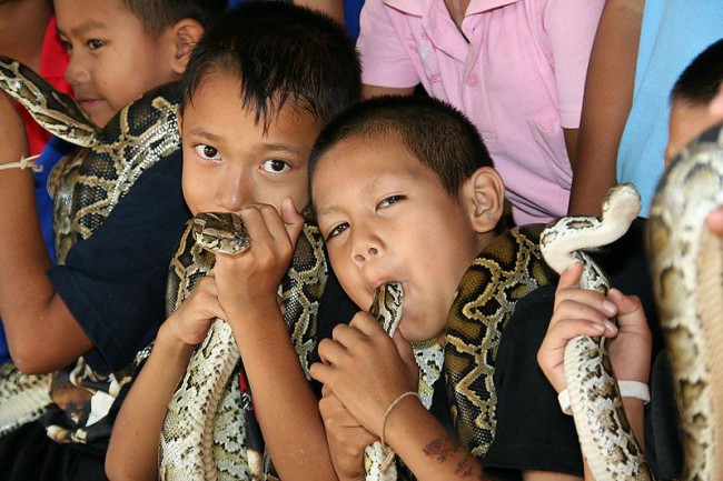 Вместо традиционных игрушек местные детишки играют со змеями