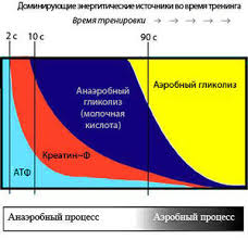 аэробные тренировки