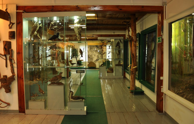 Желанновский краеведческий музей
