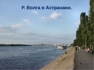 Р. Волга в Астрахани. 