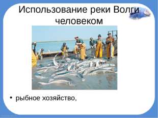 Использование реки Волги человеком рыбное хозяйство, FokinaLida.75 