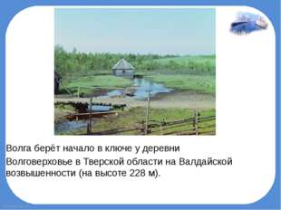 Волга берёт начало в ключе у деревни  Волговерховье в Тверской области на Вал
