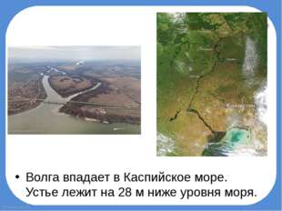 Волга впадает в Каспийское море. Устье лежит на 28 м ниже уровня моря.  Fokin