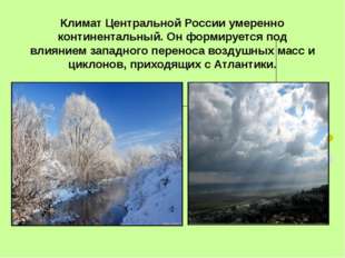Климат Центральной России умеренно континентальный. Он формируется под влияни