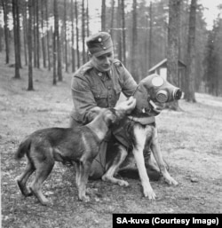 A gas mask being squeezed onto a military dog. There were widespread but ultimately unfounded fears the Red Army would use poison gas during the invasion.