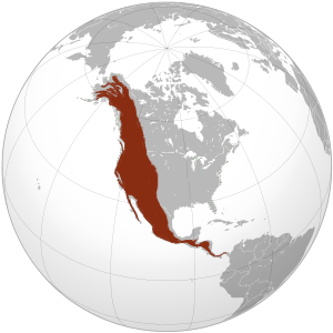 Кордильеры Северной Америки на карте