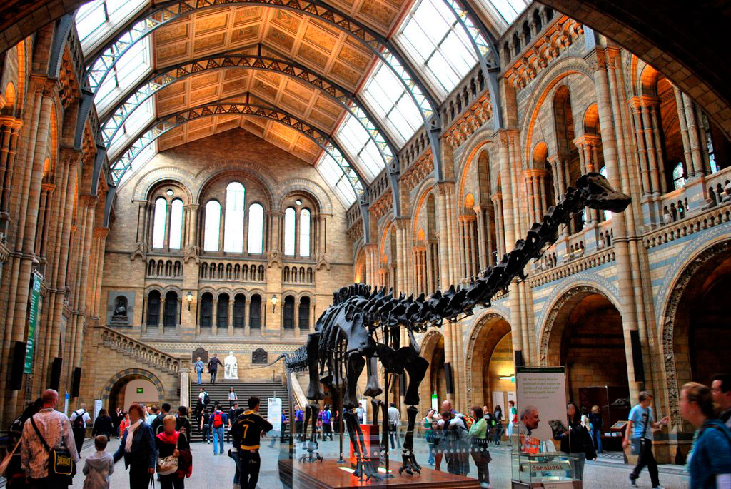 Natural History Museum