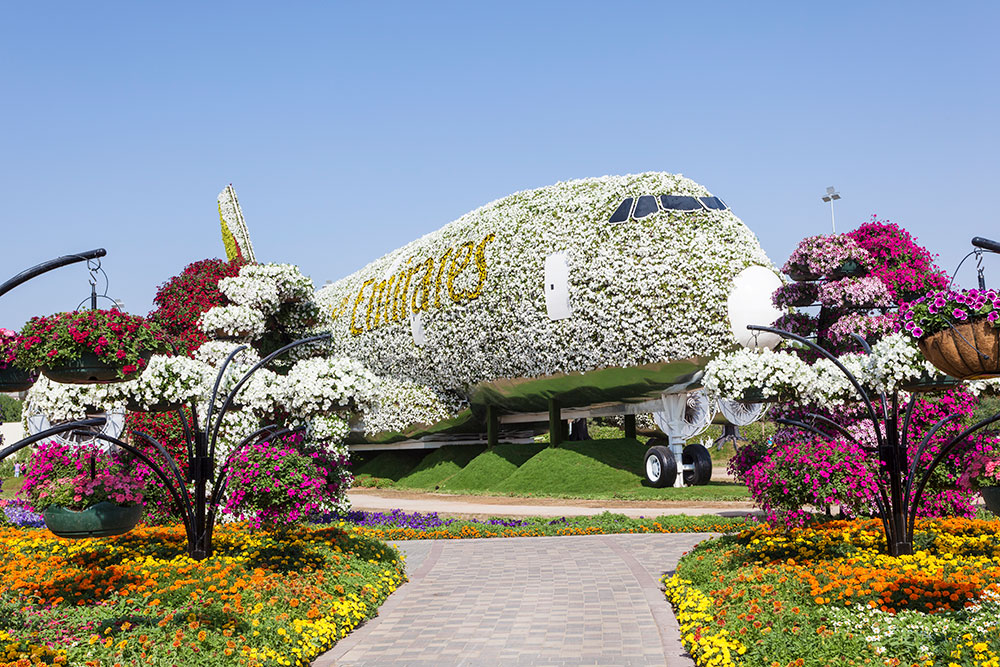 В парке стоит самолет Airbus&nbsp;A380, который полностью украсили цветами. Он попал в Книгу рекордов Гиннесса как крупнейшее цветочное сооружение. Фото: Philip Lange / Shutterstock