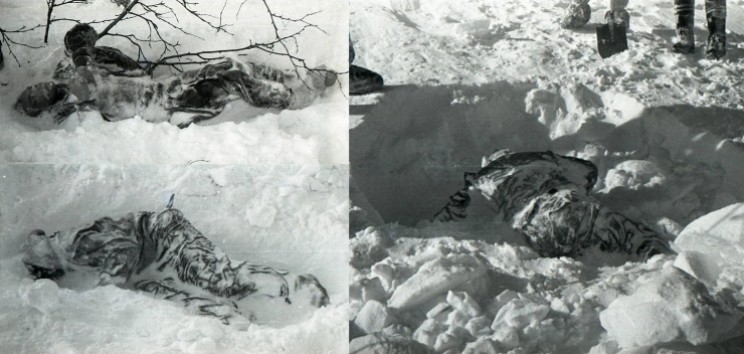 Bodies of Dyatlov, Kolomogorova and Slobodin
