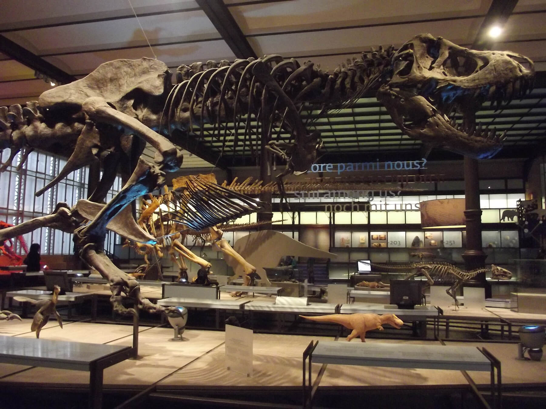 В галерее динозавров музея естественных наук