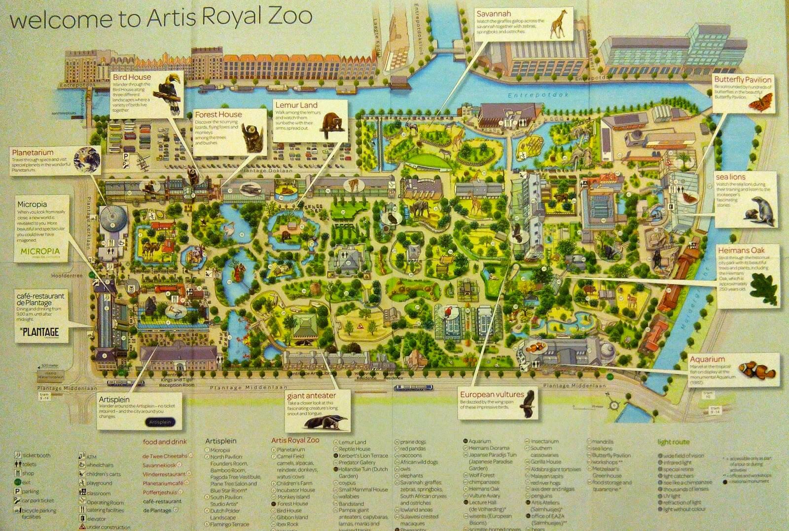 Карта зоопарка «Артис»