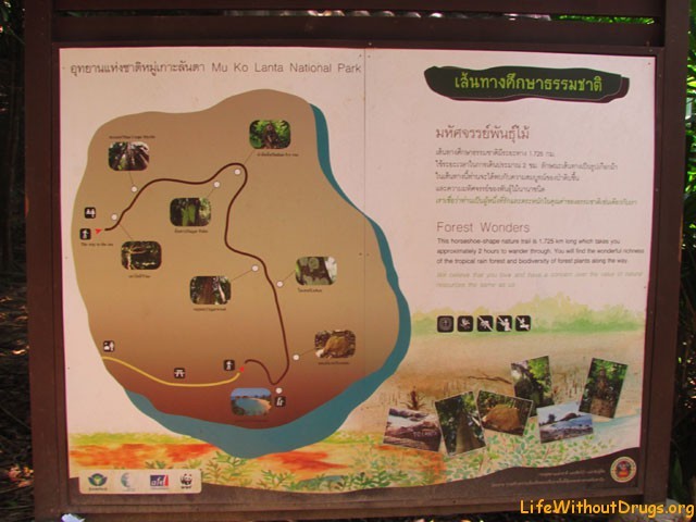 Схема трекинга в национальном парке - остров Ко Ланта