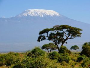 Снега Килиманджаро над саванной