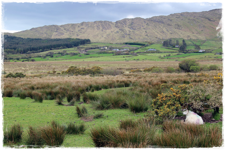 Кольцо Керри (Ring of Kerry). Умопомрачительная красота и несравненные пейзажи ирландских берегов