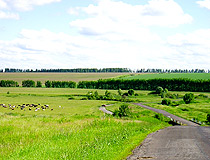 Tambovskaya oblast scenery