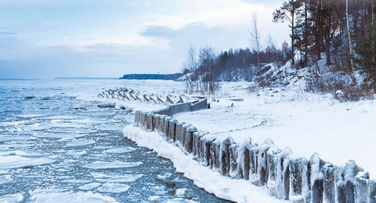 Берег Финского залива.