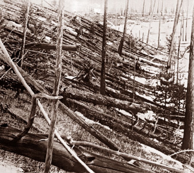 Поваленный лес в районе падения Тунгусского метеорита