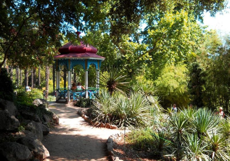 Никитинский ботанический сад