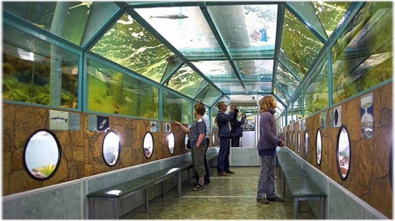 Морской аквариум «Батискаф»